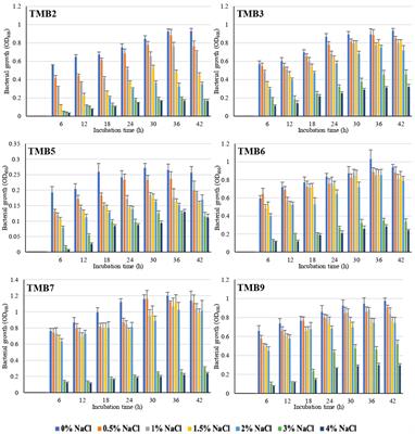 Probing the potential of salinity-tolerant endophytic bacteria to improve the growth of mungbean [Vigna radiata (L.) Wilczek]